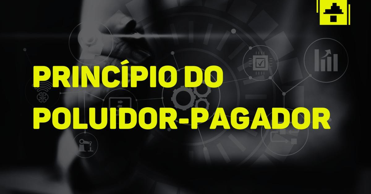 O Princípio do Poluidor-Pagador: Como Proteger o Meio Ambiente e Evitar Multas na Sua Empresa